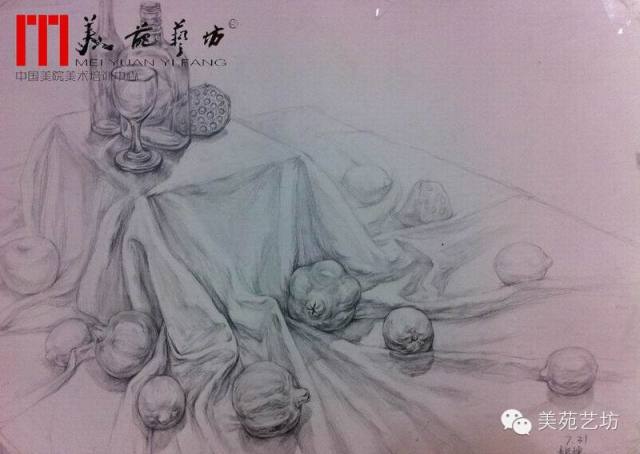 线性素描静物