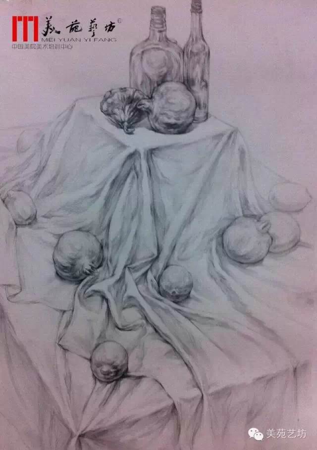 线性素描静物