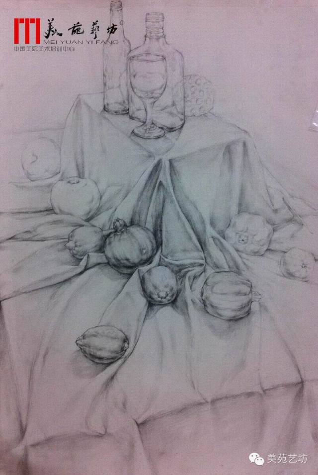 线性素描静物