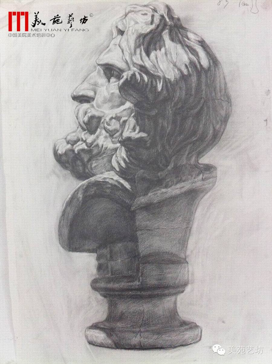 美院班素描习作