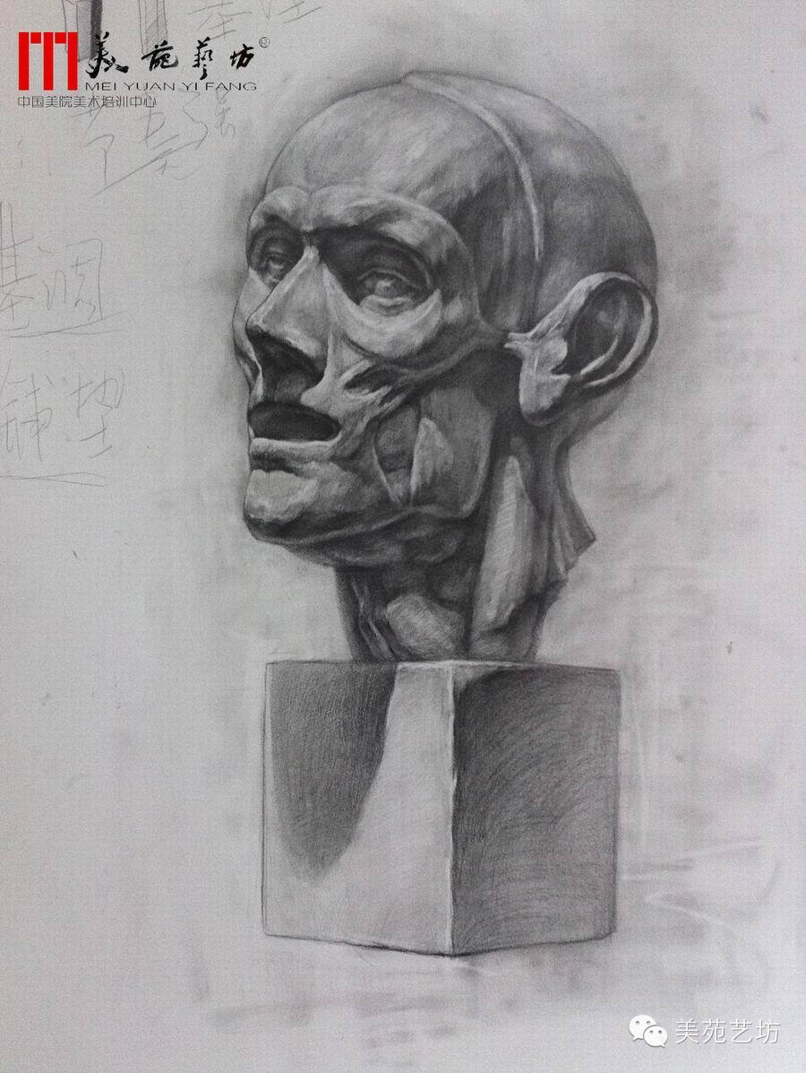 美院班素描习作