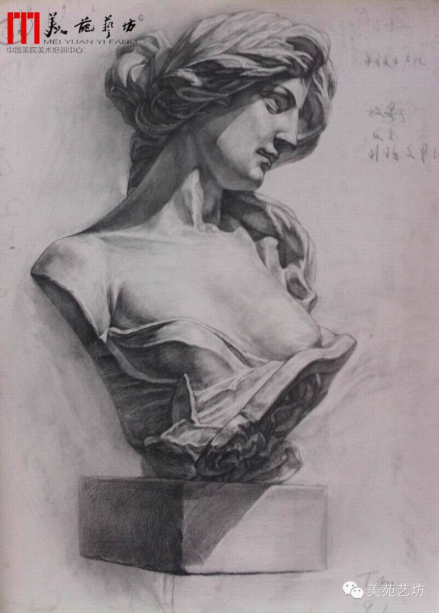 美院班素描习作