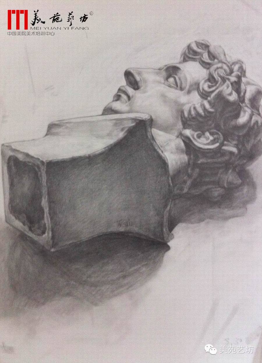 美院班素描习作