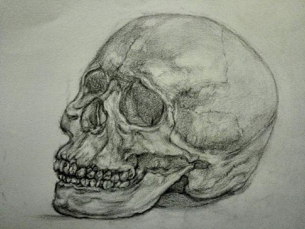 素描石膏
