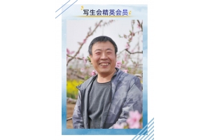 马静宣