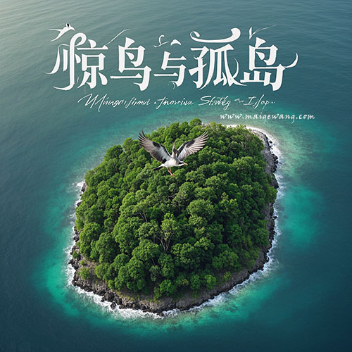 惊鸟与孤岛 22.jpg