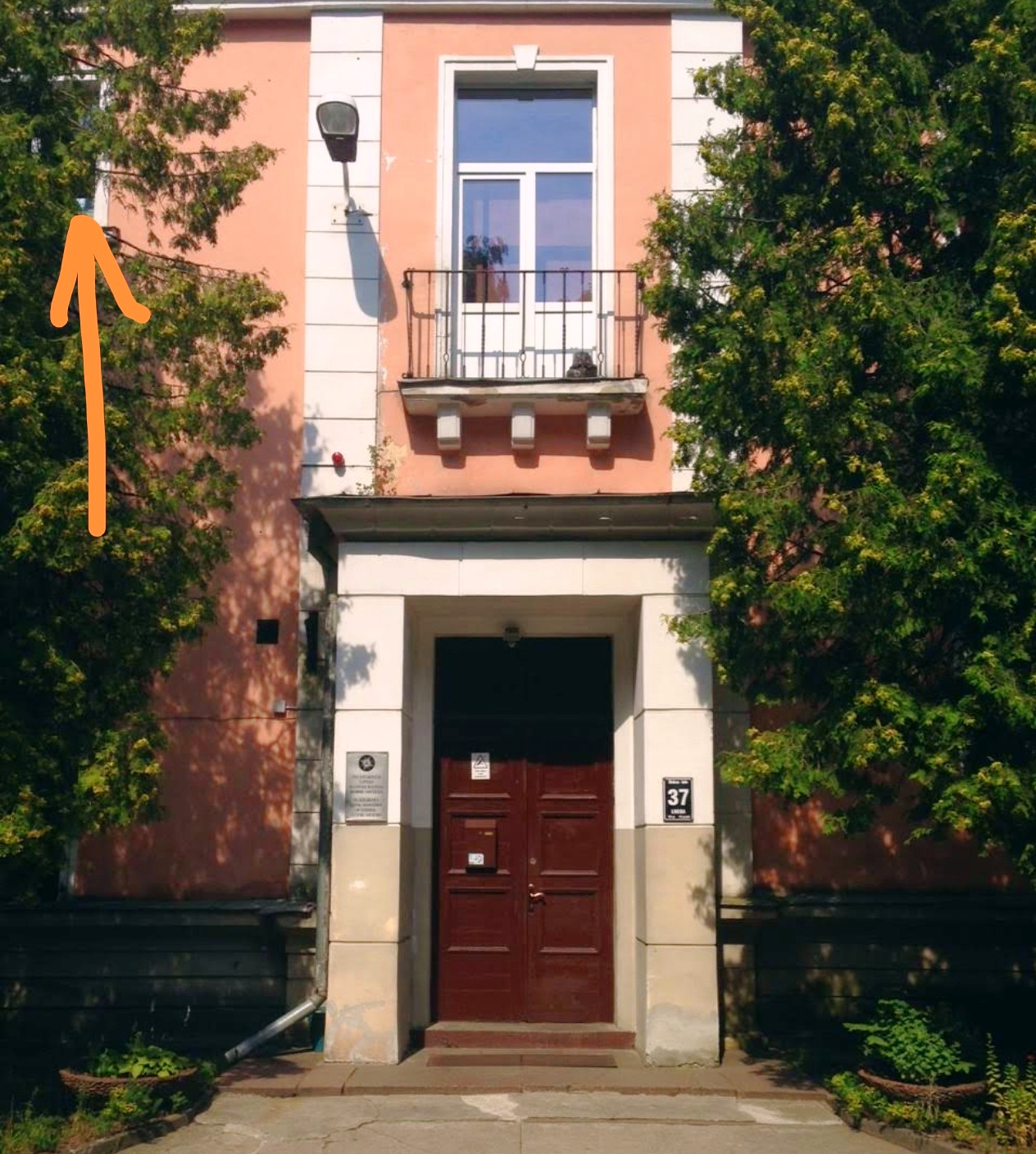 69390ec924c93.jpg 4b38f84244384cc91c067a467c574684.jpg