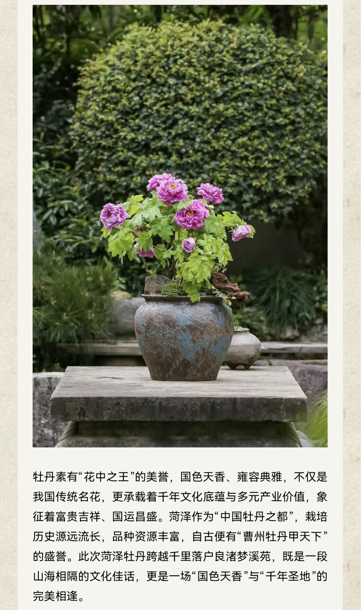 69d7096bc1a31.JPG