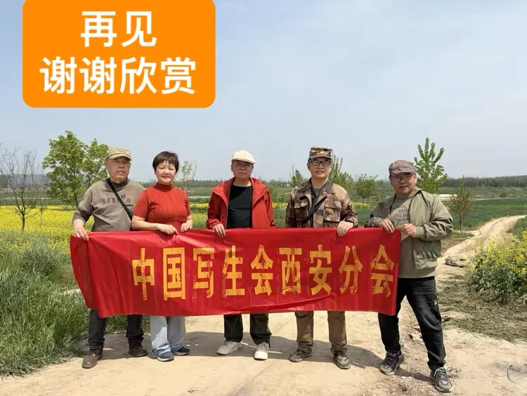 图片 19.png