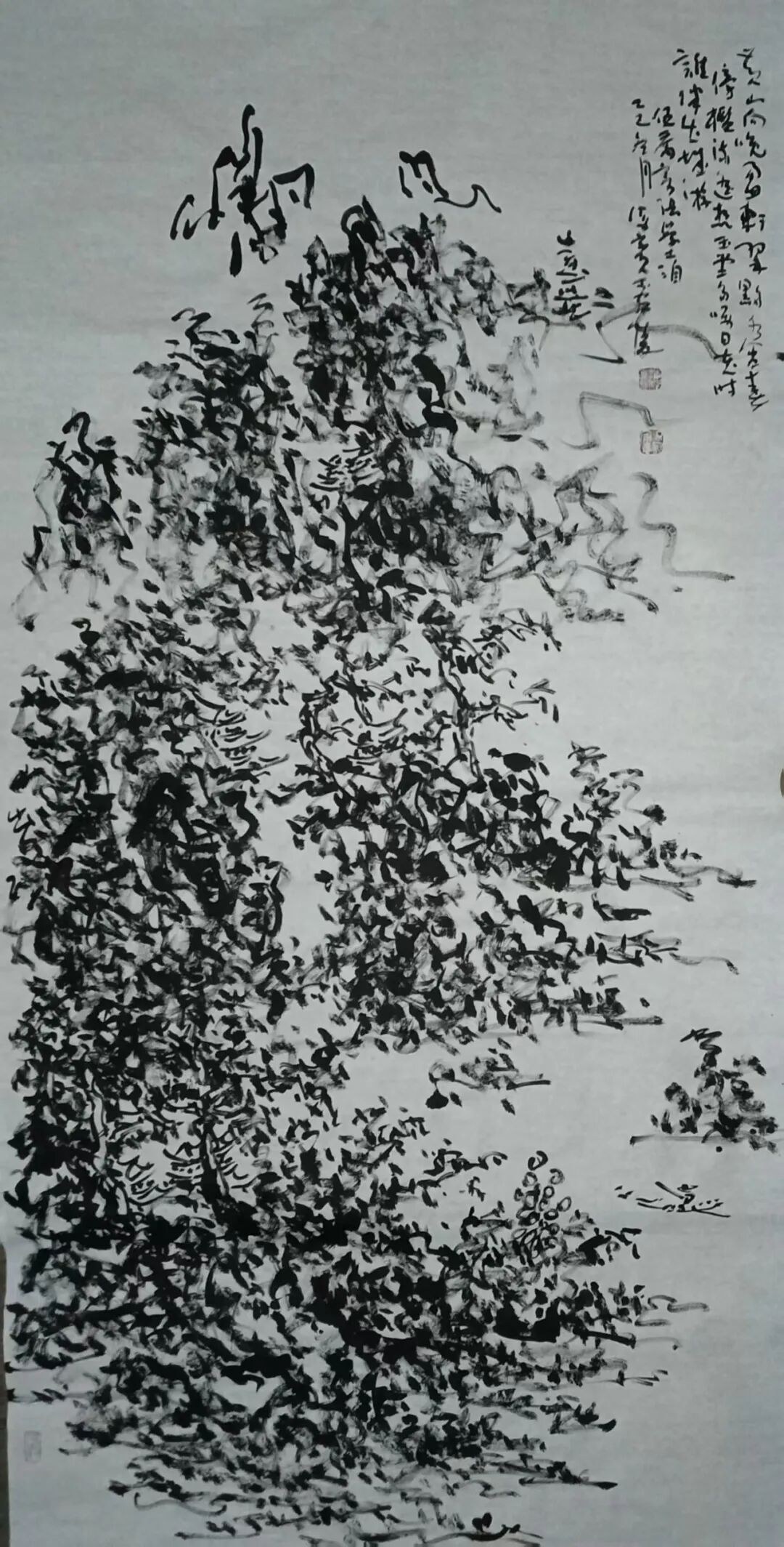 图片 14.jpg