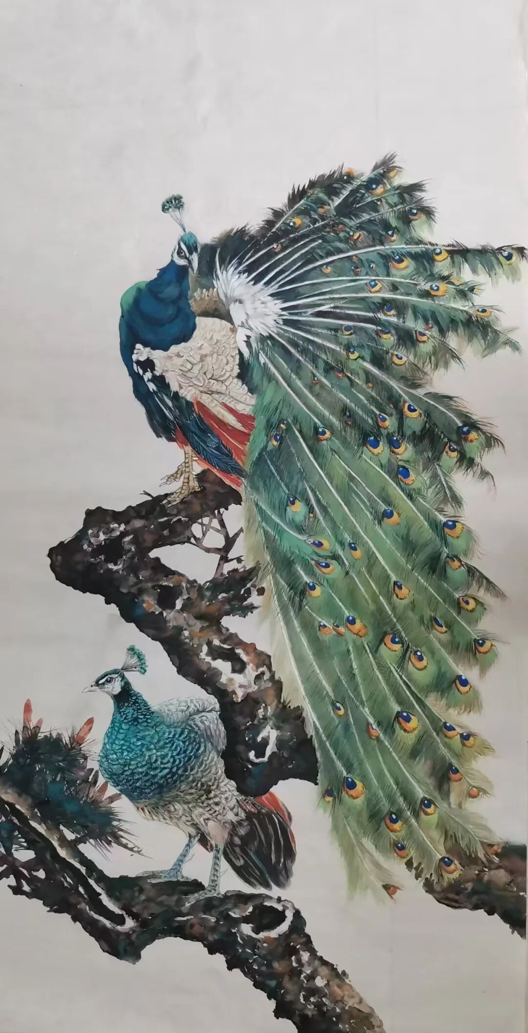 图片 15.jpg