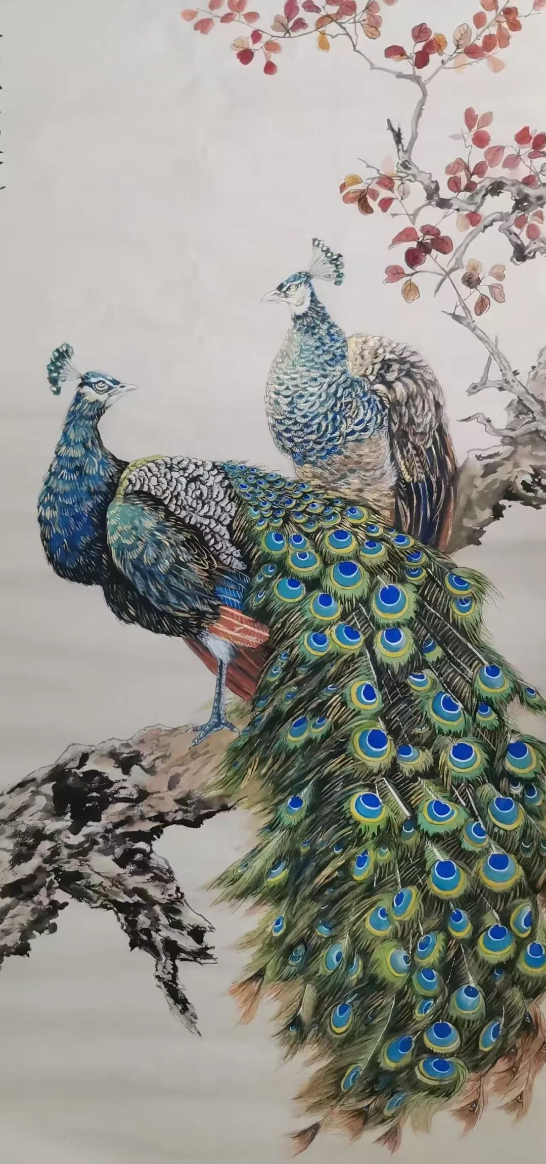 图片 16.jpg