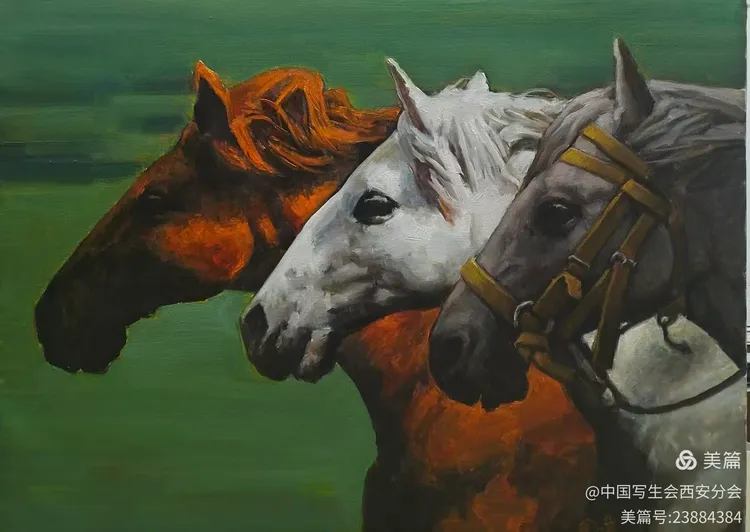 图片 70.png