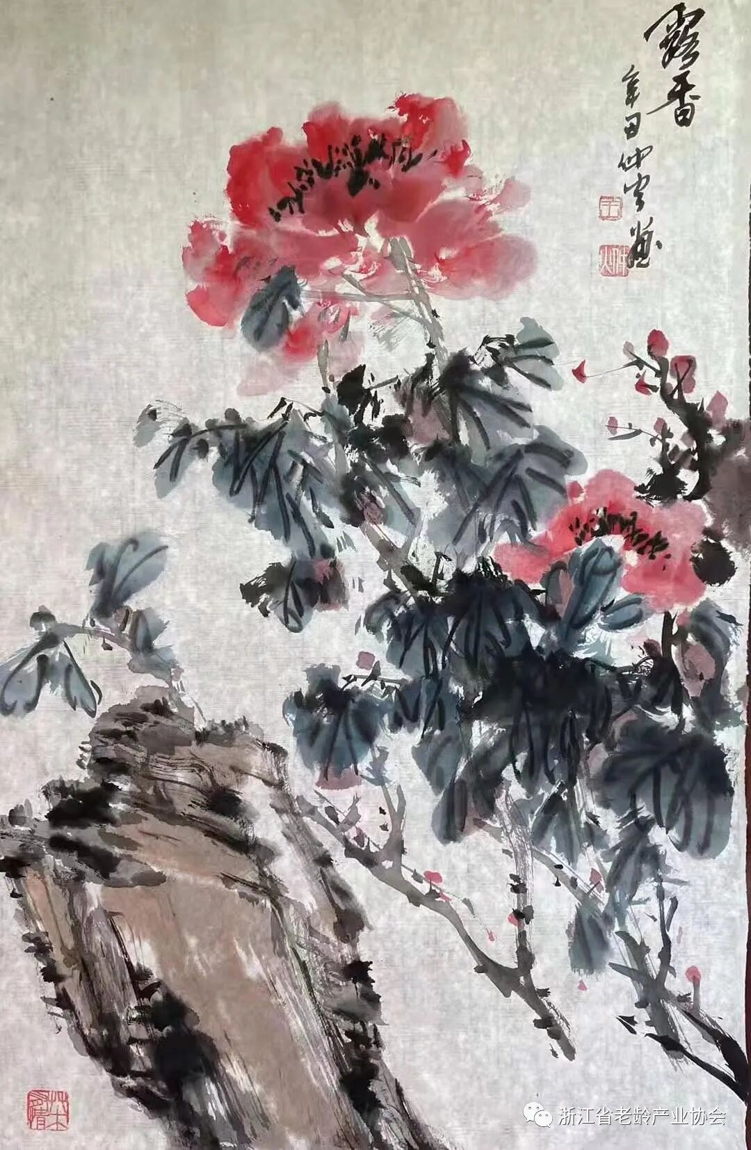图片 4.jpg