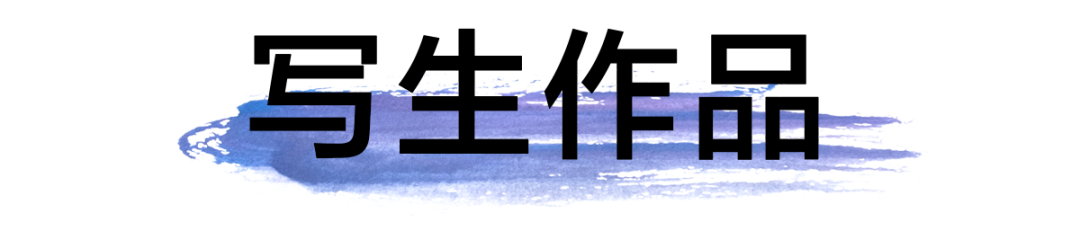 69e98540d6164.png