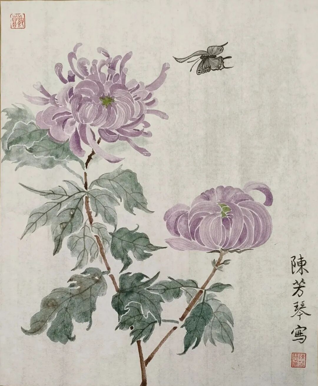 图片 22.jpg