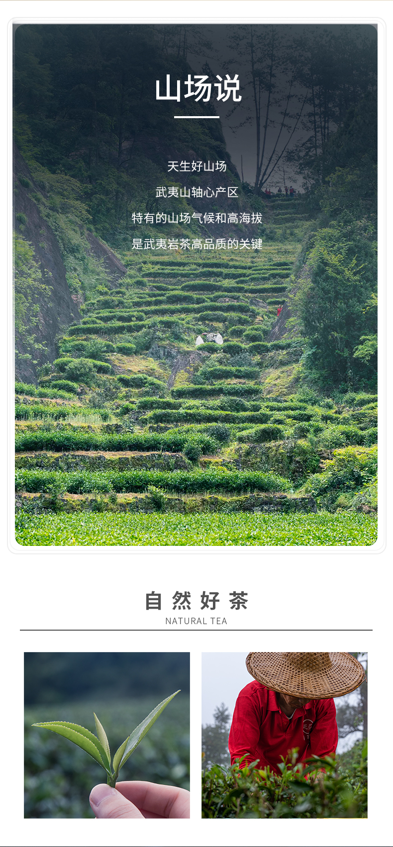 牛牛3600精裝_05.jpg