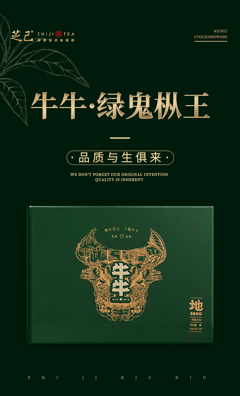 綠鬼樅王_01.jpg