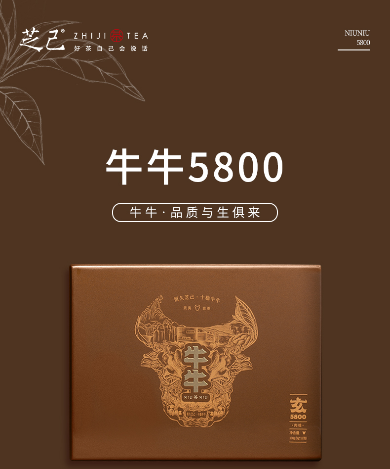 牛牛精裝5800_01.jpg