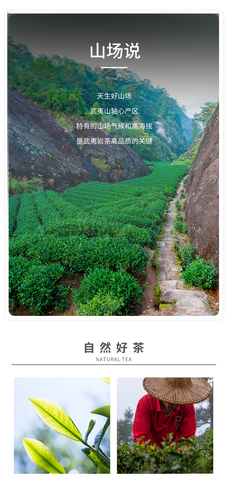 牛牛精裝5800_05.jpg