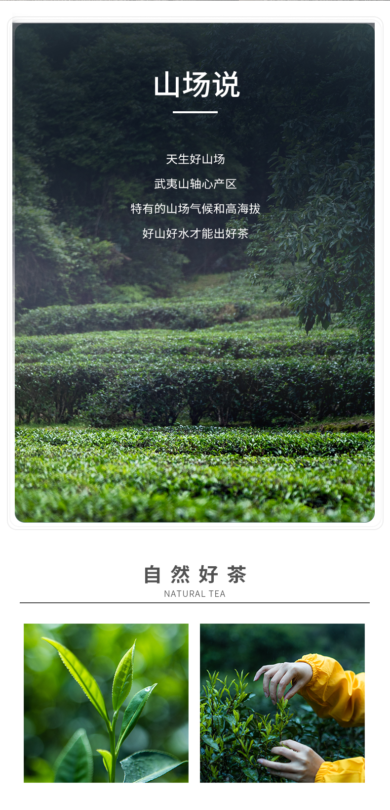 牛牛天9800·肉桂簡(jiǎn)裝_05.jpg