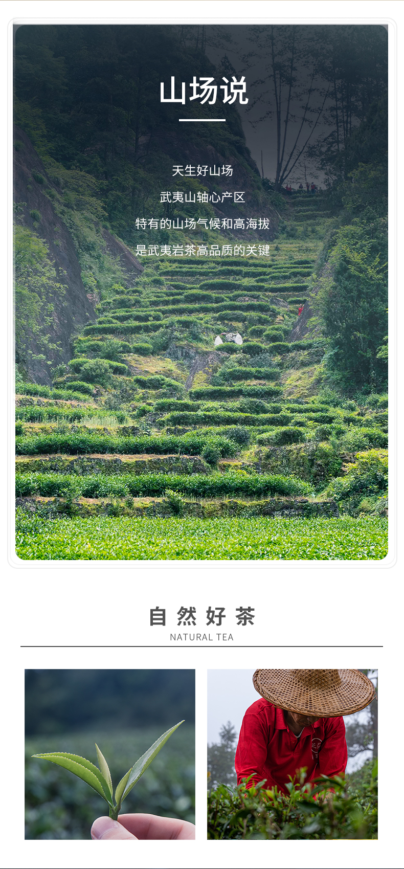 牛牛3600簡裝_05.jpg