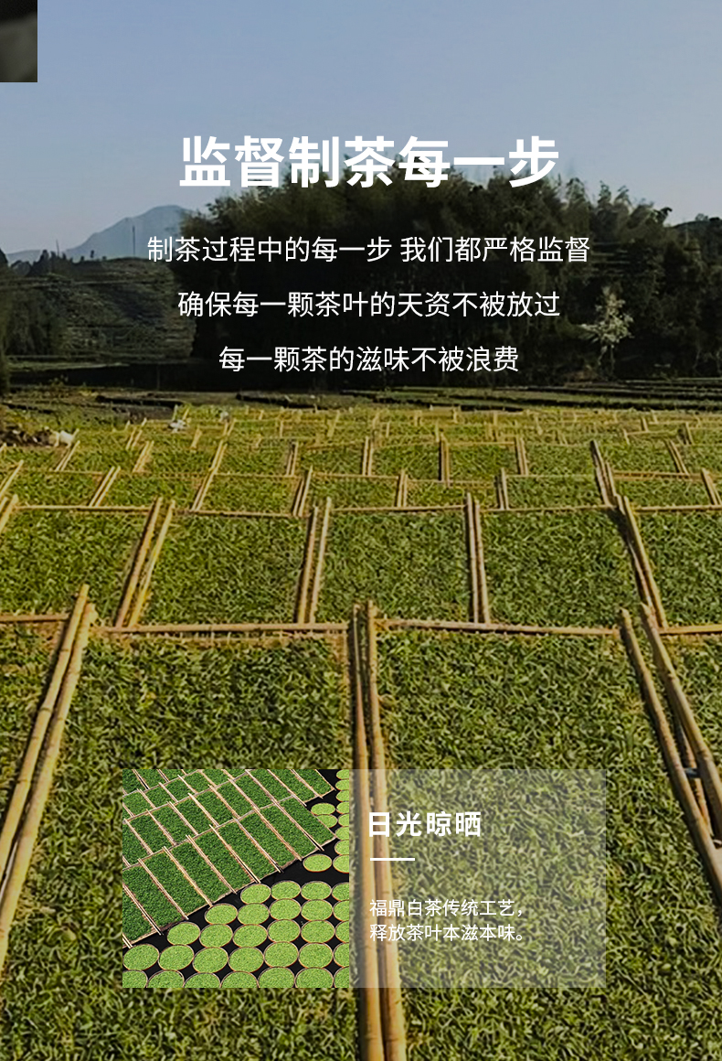 首禮老白茶_06.jpg
