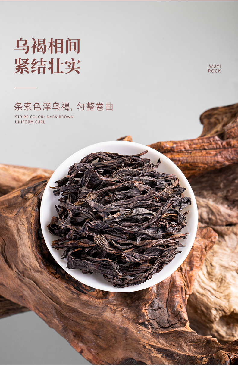 正巖肉桂_08.jpg