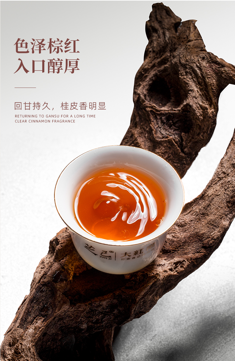 正巖肉桂_09.jpg