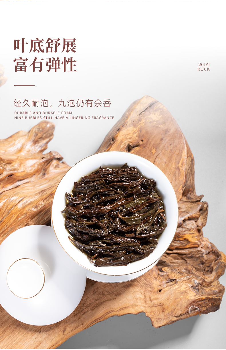 正巖肉桂_10.jpg