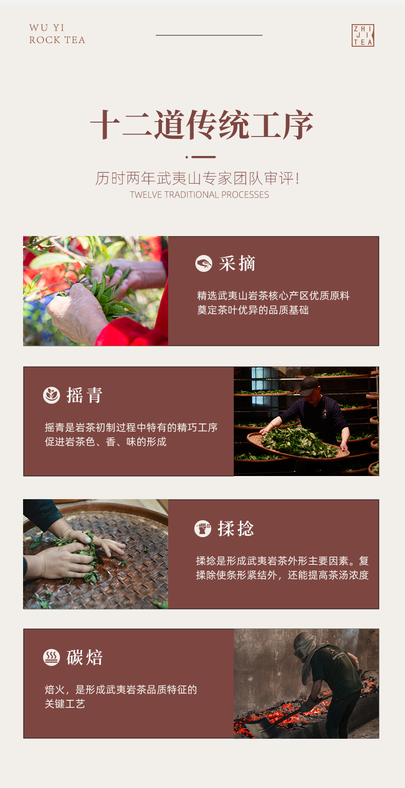 正巖肉桂_12.jpg