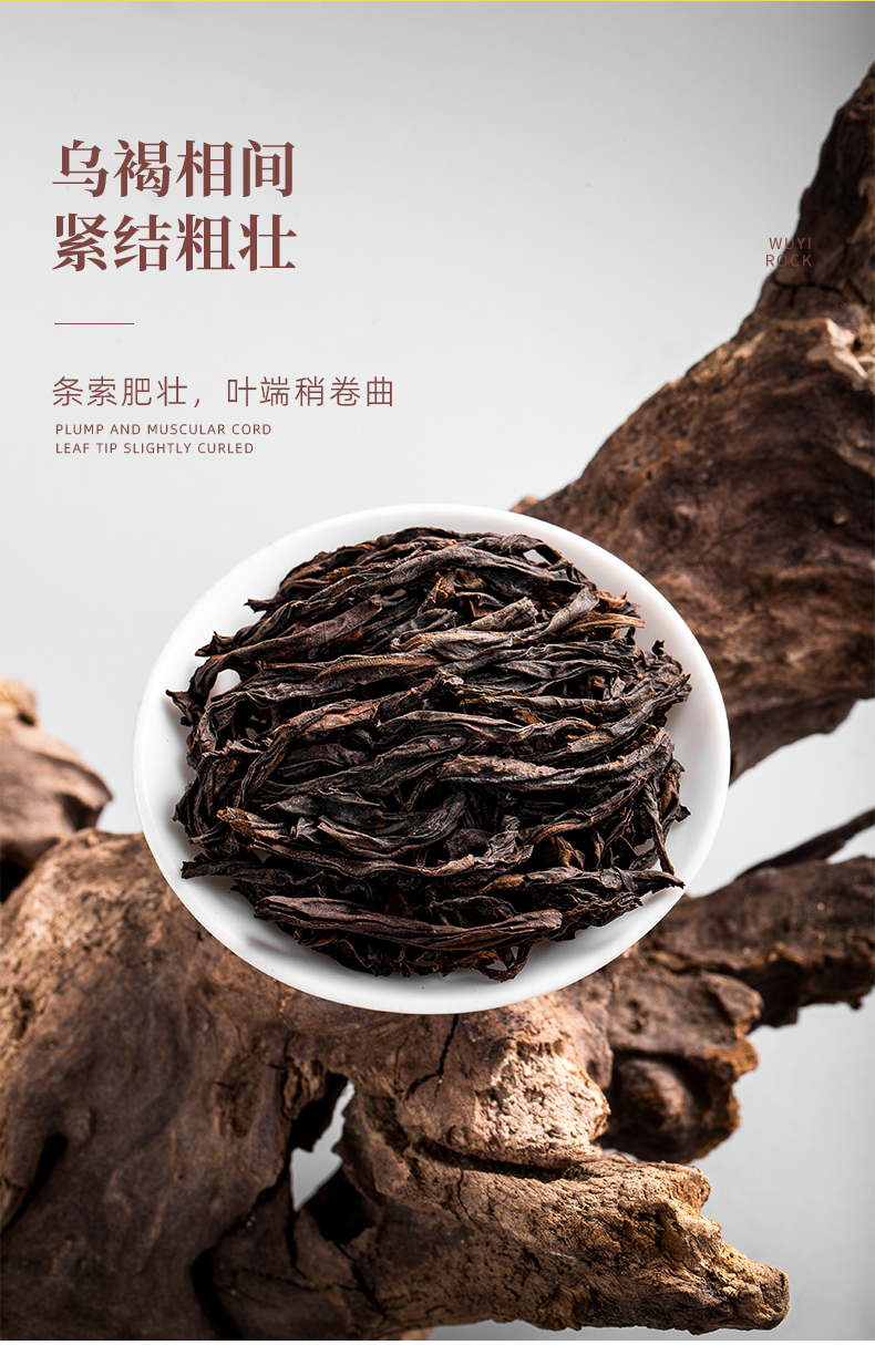 正巖肉桂_08.jpg