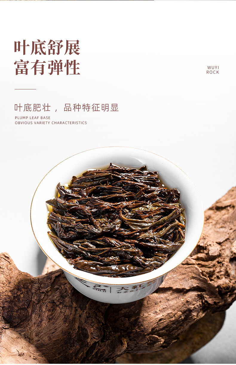正巖肉桂_10.jpg