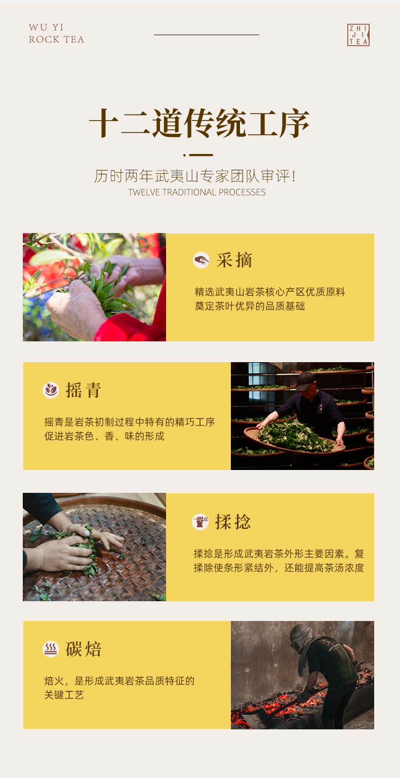 正巖肉桂_12.jpg