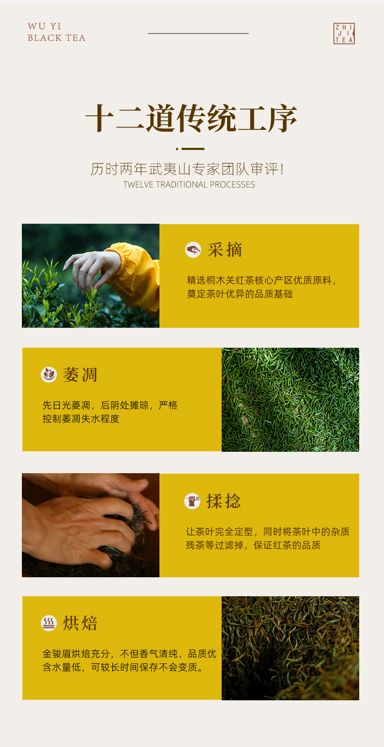 金駿眉_12.jpg