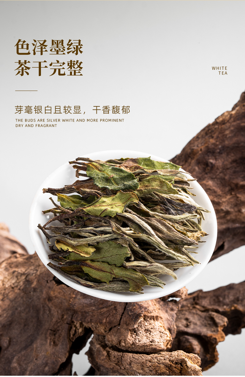 白牡丹_08.jpg