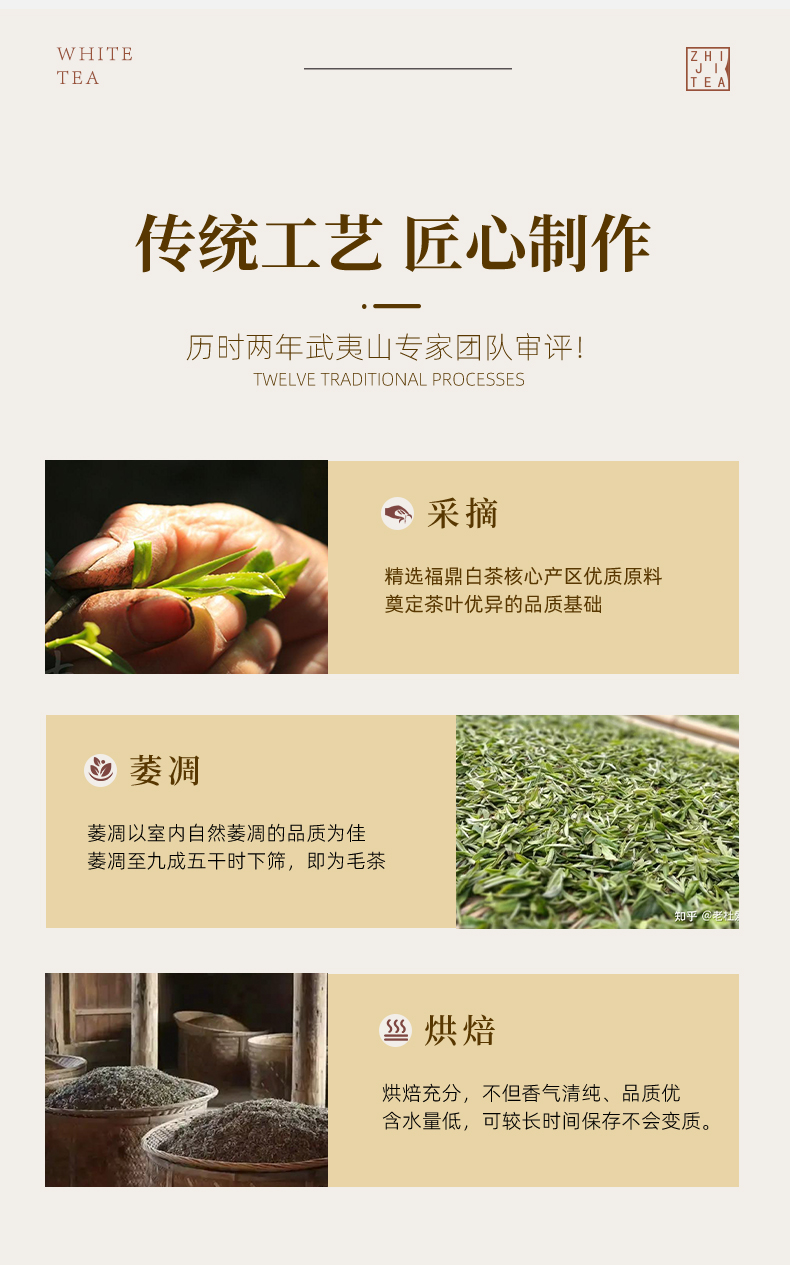 白牡丹_12.jpg