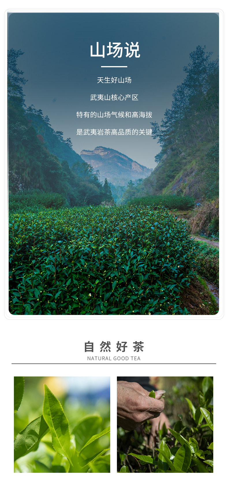 水仙王_05.jpg