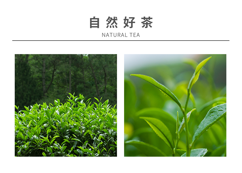 1881老樅水仙簡(jiǎn)裝_06.jpg