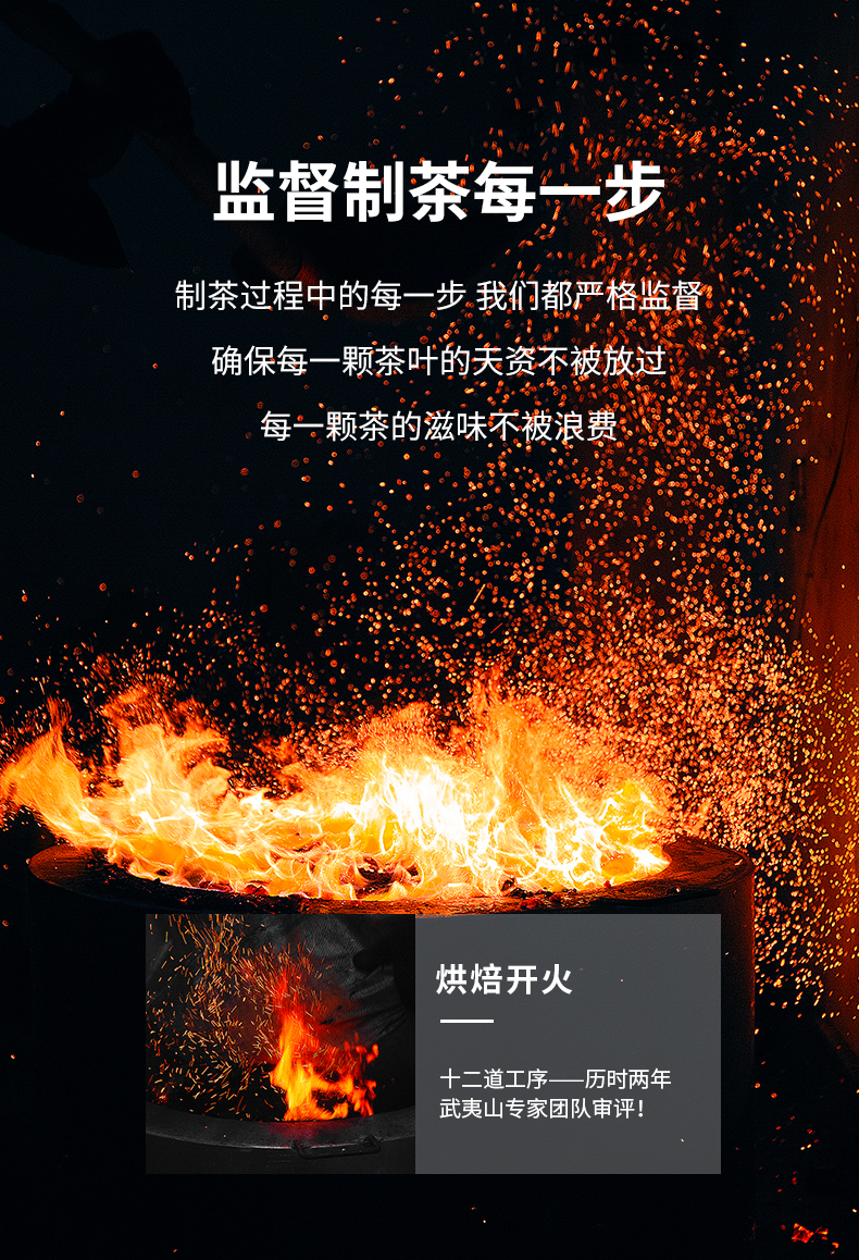 1881-老樅水仙_06.jpg