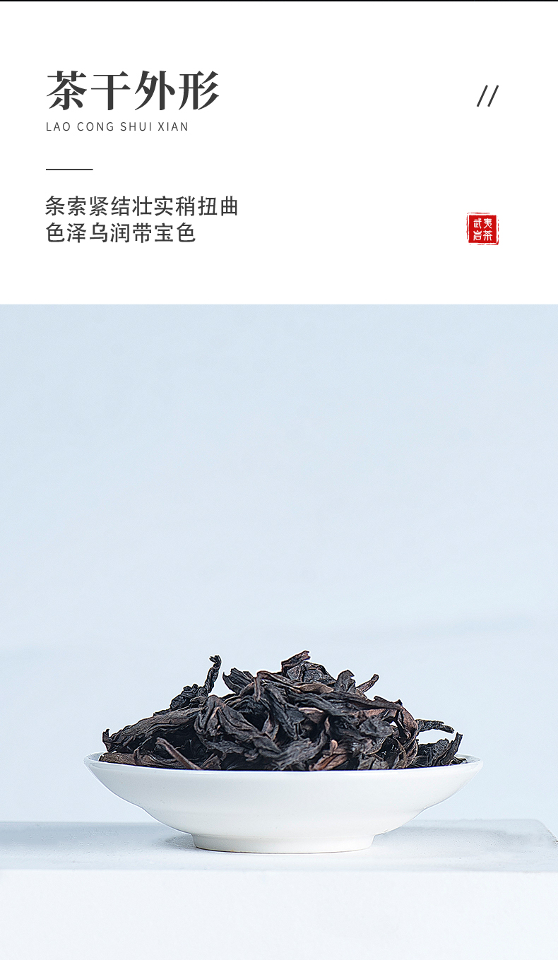 1881-老樅水仙_07.jpg