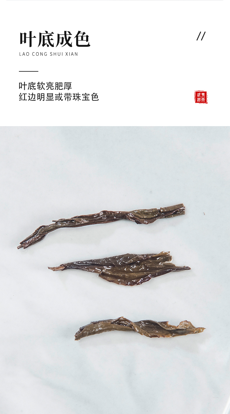1881-老樅水仙_09.jpg