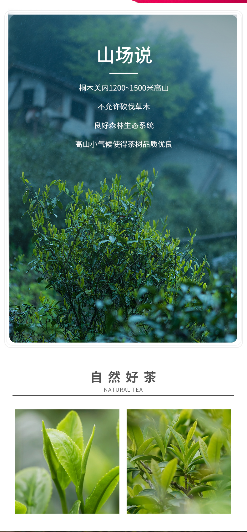 妃子笑6罐子_05.jpg