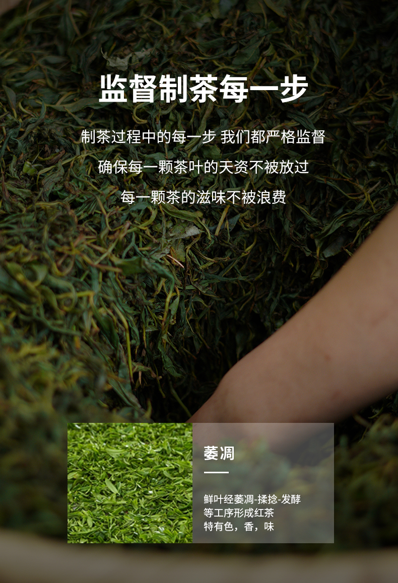 妃子笑6罐子_06.jpg