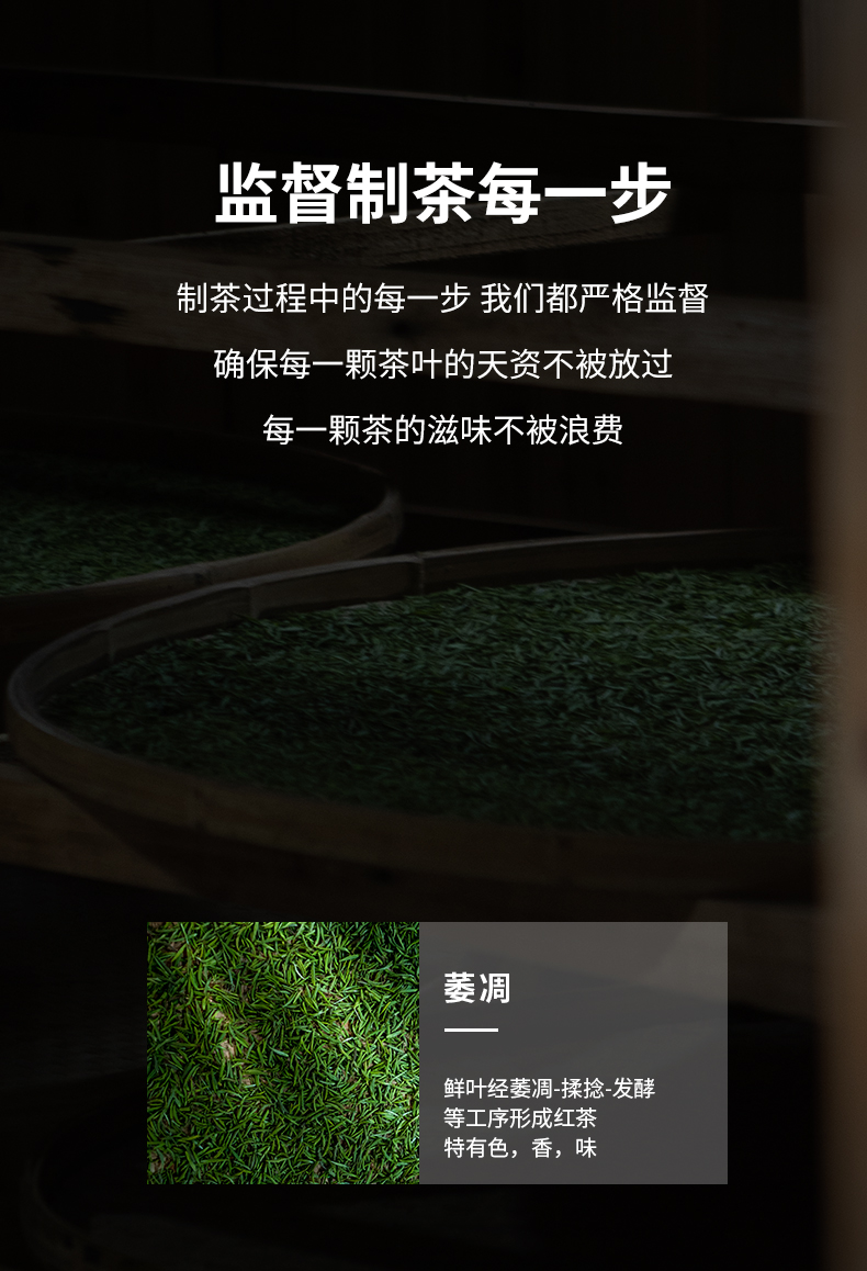 金駿眉_06.jpg