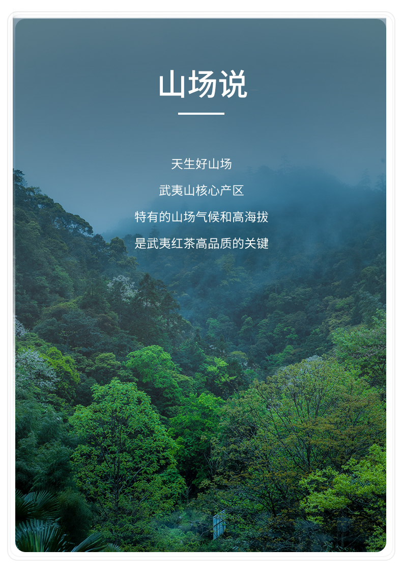 正山小種_05.jpg