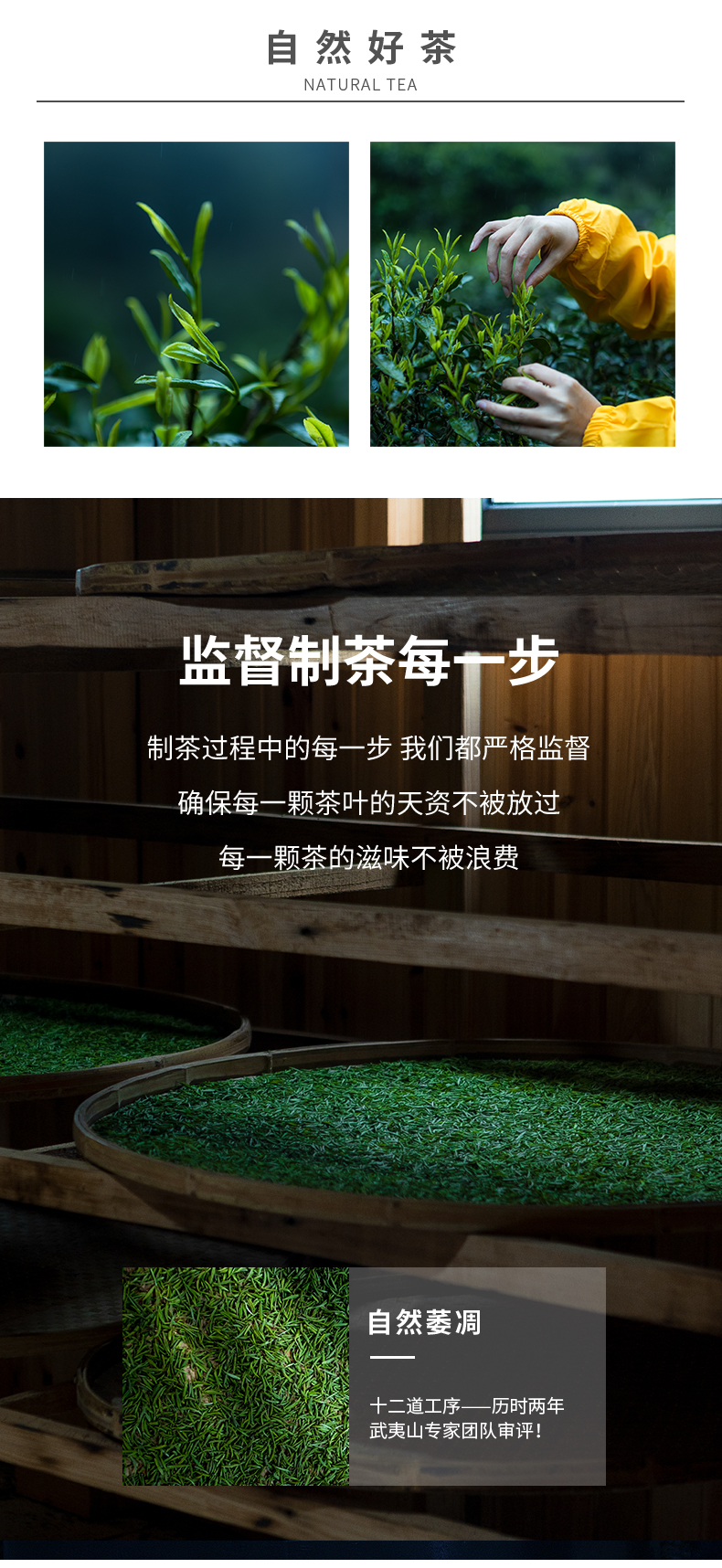 金駿眉_06.jpg
