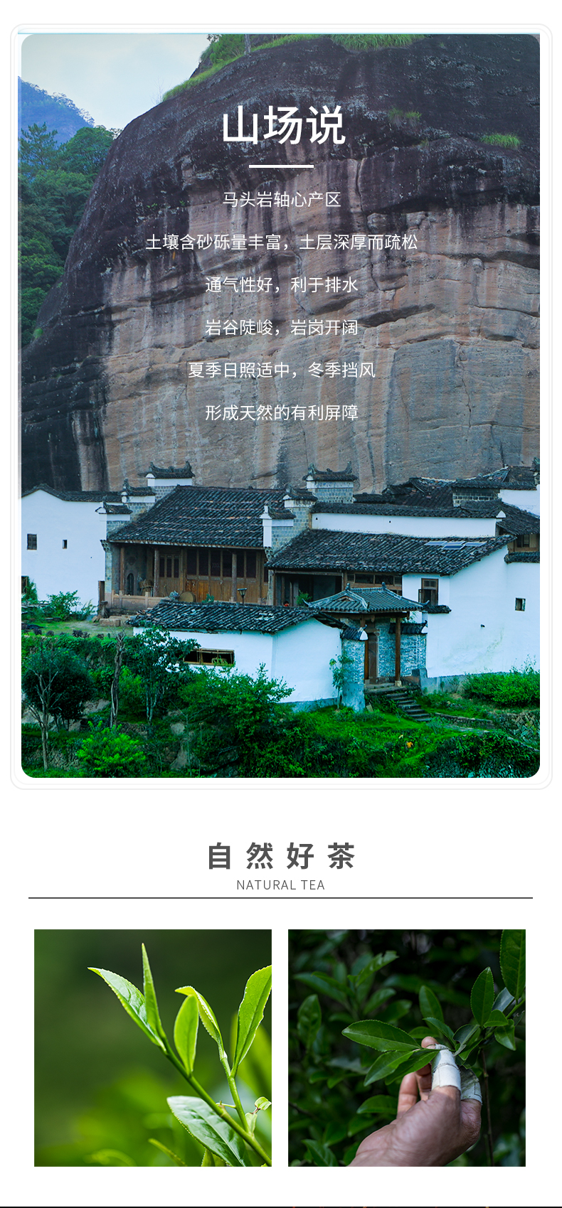 紅-馬頭巖肉桂_05.jpg