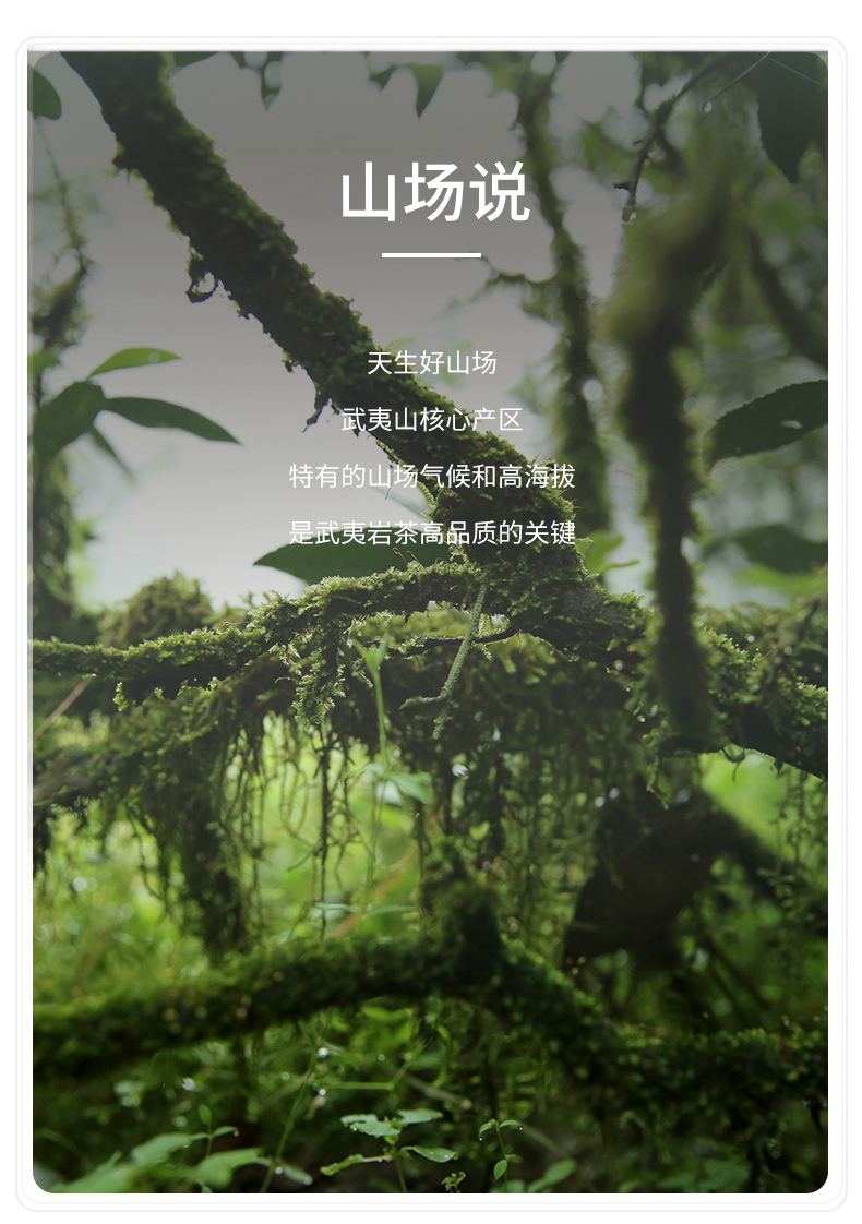 相_05.jpg