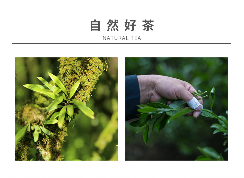 相_06.jpg